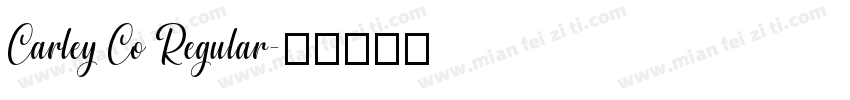 Carley Co Regular字体转换